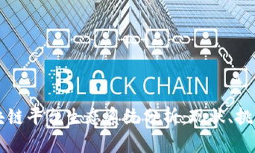 深入区块链平台生态系统分析：现状、挑战与未来