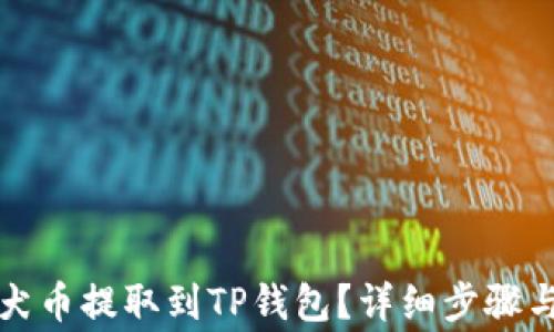 
如何将柴犬币提取到TP钱包？详细步骤与注意事项