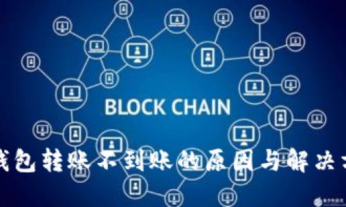 TP钱包转账不到账的原因与解决方案